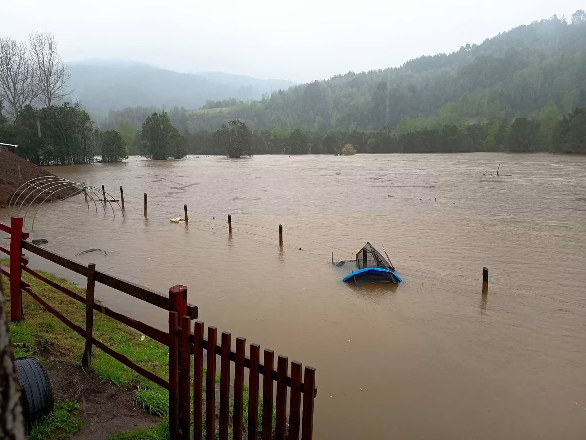 Vecinos de Colonia Paillaco en Mariquina quedan aislados por inundaciones